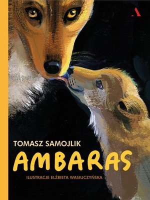 cover image of Ambaras